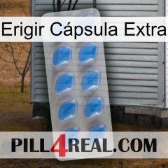 Erigir Cápsula Extra 22